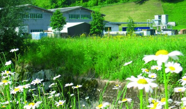 Lanzamiento del sistema de monitoreo de las medidas orientadas a la mejora de la biodiversidad en entornos empresariales (BOP) para evaluar el desempeño y compromiso de las compañías con la biodiversidad