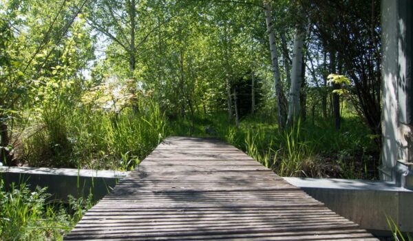 Webinario sobre entornos empresariales multifuncionales para las personas y la naturaleza