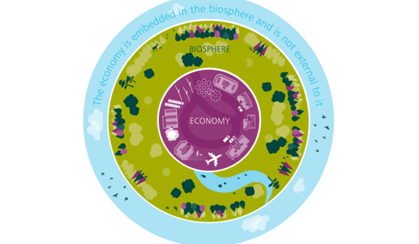 Lanzamiento del sistema de monitoreo de las medidas orientadas a la mejora de la biodiversidad en entornos empresariales (BOP) para evaluar el desempeño y compromiso de las compañías con la biodiversidad
