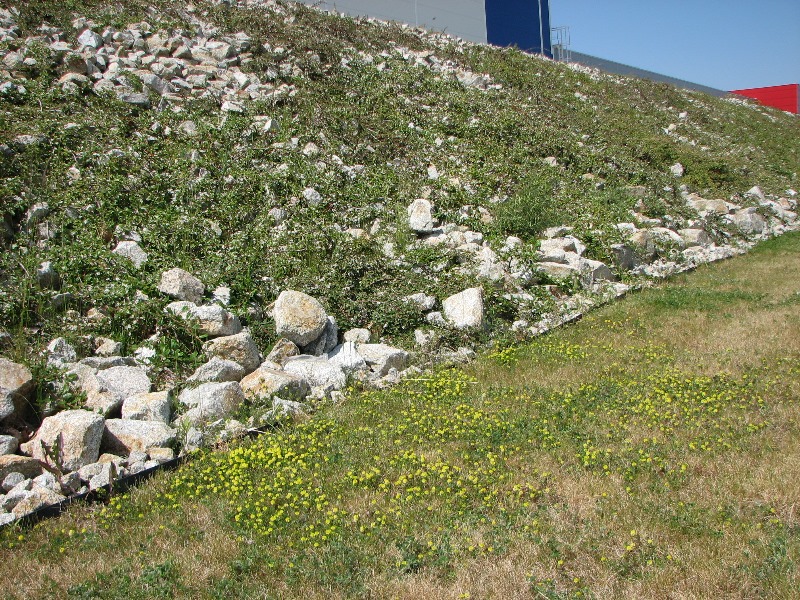The stone bank on the water reservoir is a suitable space for small animals, such as lizards.
